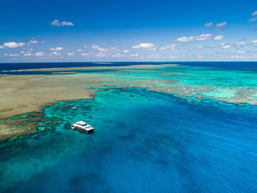 Port Douglas: Outer Barrier Reef Snorkel and Dive Options - Three reef sites make the long ride worthwhile