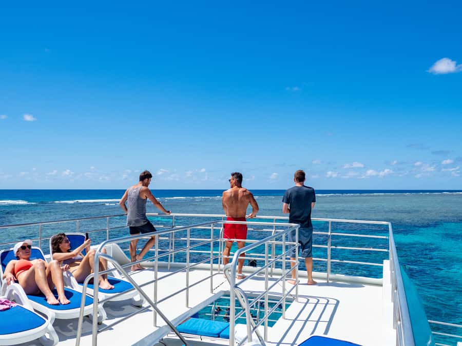 Port Douglas: Outer Barrier Reef Snorkel and Dive Options - The final stop gives you room to choose