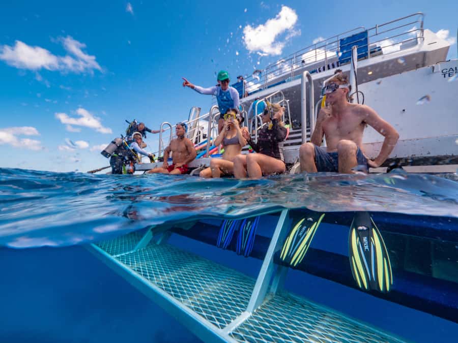 Port Douglas: Outer Barrier Reef Snorkel and Dive Options - Seasickness and weather deserve serious thought