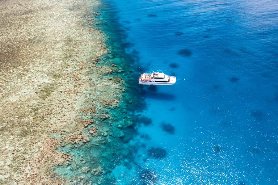 Port Douglas: Poseidon Outer Barrier Reef Dive and Snorkel - Three Agincourt sites, three chances to explore