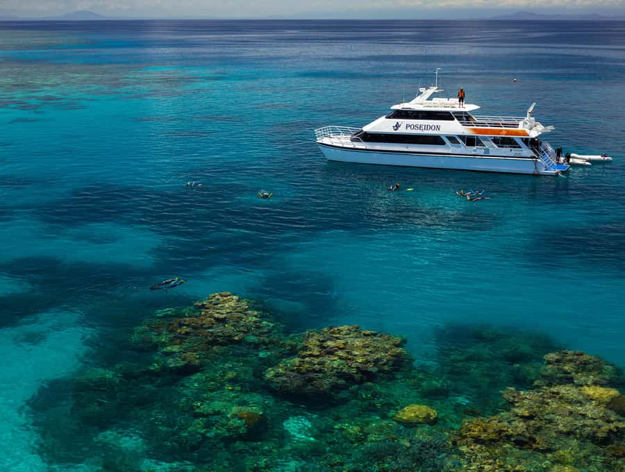 Port Douglas: Poseidon Outer Barrier Reef Dive and Snorkel - Is $213 good value?