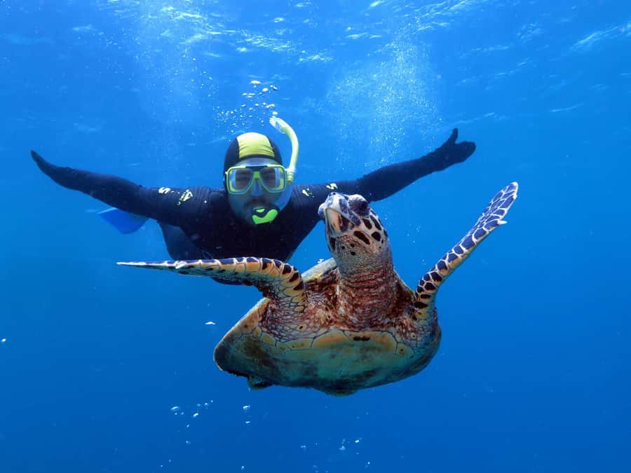 Port Douglas: Poseidon Outer Barrier Reef Dive and Snorkel - The morning cruise from Port Douglas