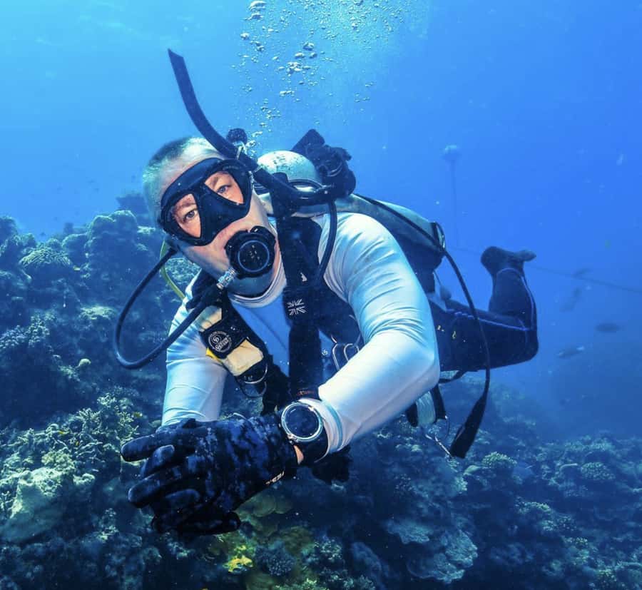 Port Douglas: Premium Outer Reef Dive Trip - Key points at a glance