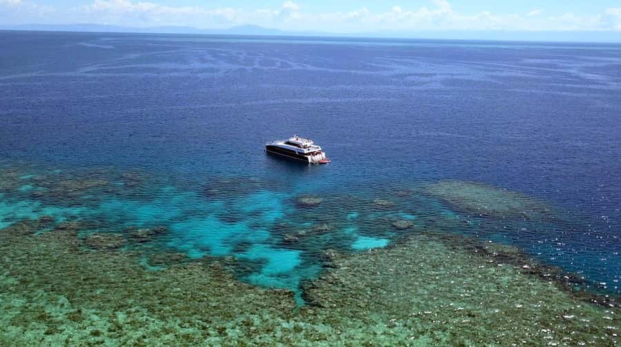 Port Douglas: Premium Outer Reef Dive Trip - Why three reef sites matter