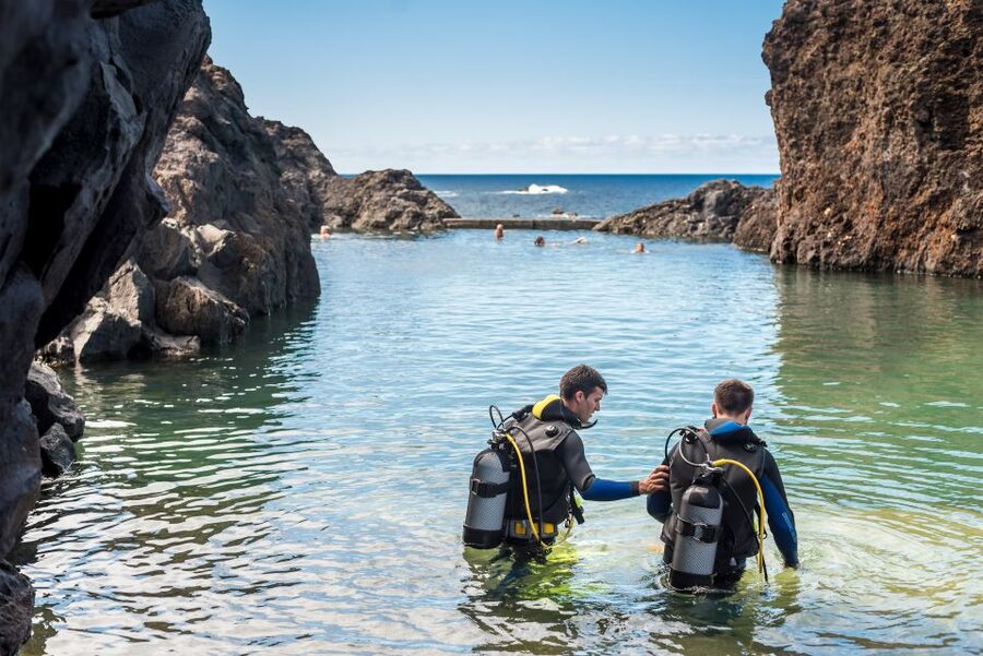Porto Moniz: Diving with Sharks and Rays in Madeira Aquarium - Is $159 per person good value?