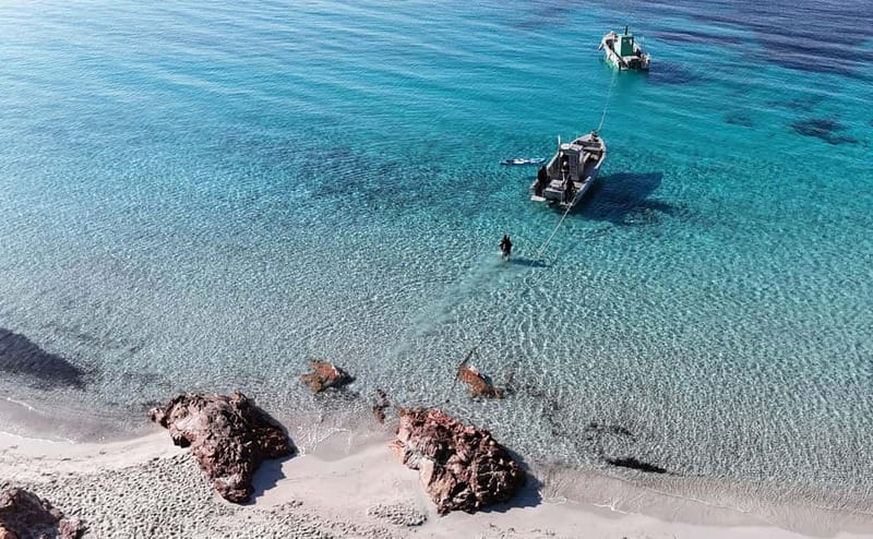 Porto-Vecchio: beginner diving in the Cerbicale Islands in the reserve - Key points to know before you book
