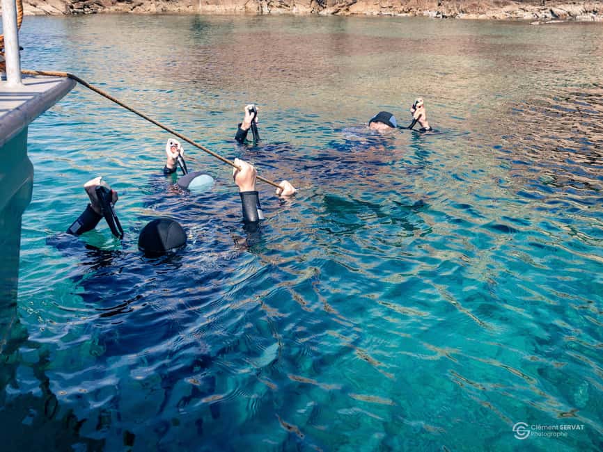 Porto-Vecchio: beginner diving in the Cerbicale Islands in the reserve - A gentle first descent near the island