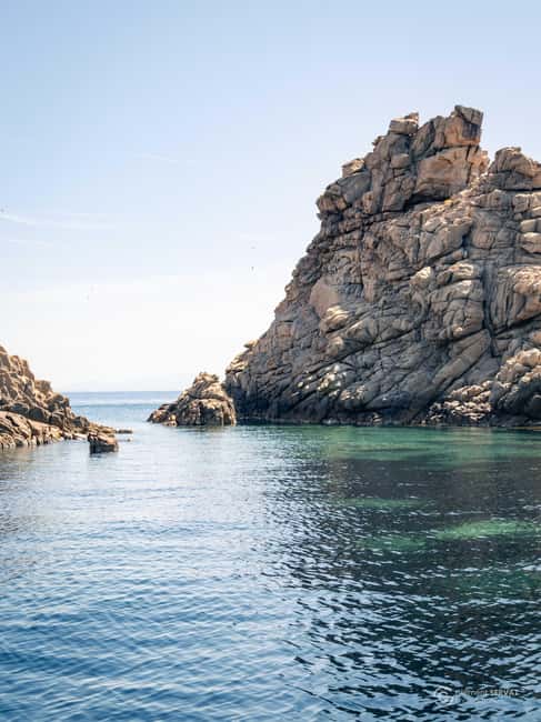 Porto-Vecchio: beginner diving in the Cerbicale Islands in the reserve - Forty minutes of snorkeling and island views