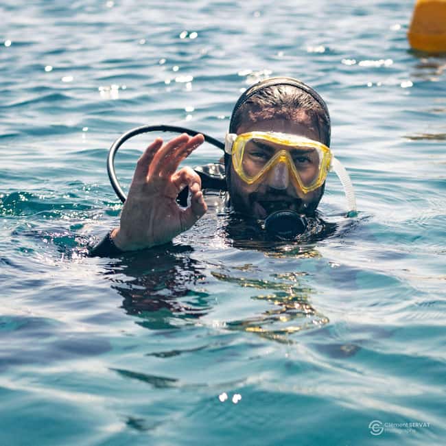 Porto-Vecchio: beginner diving in the Cerbicale Islands in the reserve - What the $171 price really includes