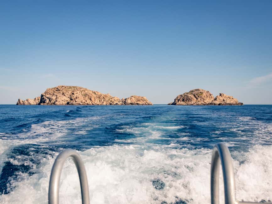 Porto-Vecchio: beginner diving in the Cerbicale Islands in the reserve - Should you book the Cerbicale Islands session?