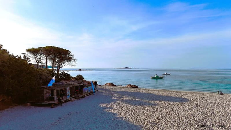 Porto-Vecchio: beginner diving in the Cerbicale Islands in the reserve - FAQ