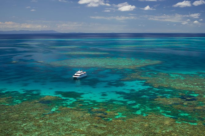 Poseidon Outer Great Barrier Reef Snorkeling and Diving Cruise from Port Douglas - Scuba options for beginners and certified participants