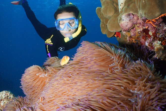 Poseidon Outer Great Barrier Reef Snorkeling and Diving Cruise from Port Douglas - Is the $225.93 price good value?