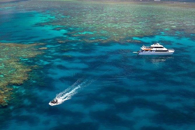 Poseidon Outer Great Barrier Reef Snorkeling and Diving Cruise from Port Douglas - The marine biology and safety briefings add real value