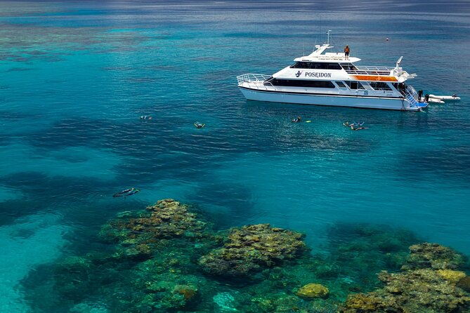 Poseidon Outer Great Barrier Reef Snorkeling and Diving Cruise from Port Douglas - What snorkeling is like at Agincourt Reef