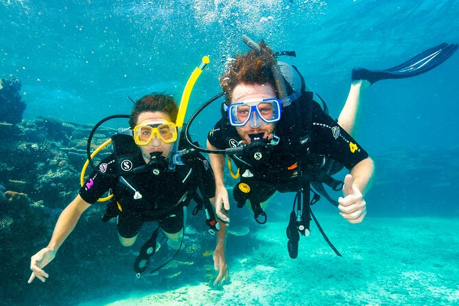 Premium Guided Dive Trip - Outer Great Barrier Reef - Key points to know before booking