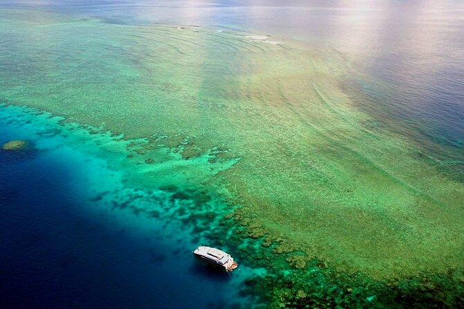 Premium Guided Dive Trip - Outer Great Barrier Reef - Who will get the most from this trip
