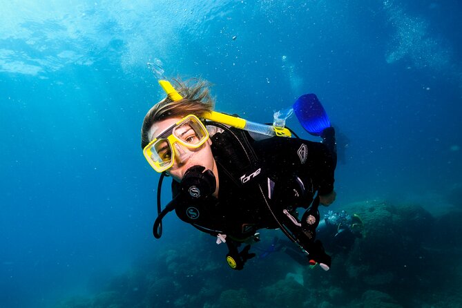 Premium Guided Dive Trip - Outer Great Barrier Reef - Booking details that matter