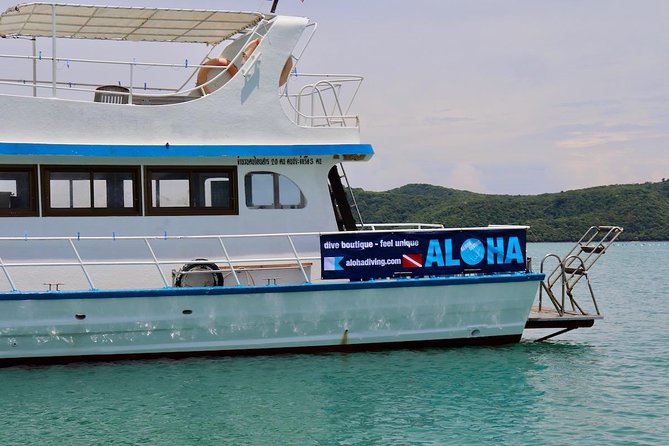 Premium Guided Scuba Diving Day Trip for Certified Divers - Marine life and underwater scenery
