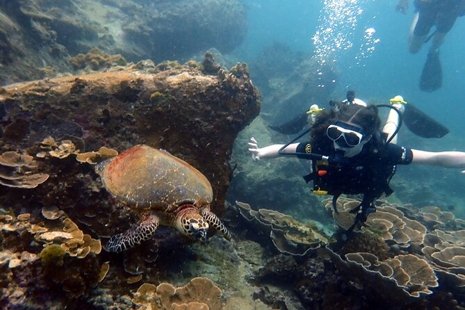"Premium" Non Certified Beginner Scuba Diving in Racha Yai/Noi - Three sessions around Racha Yai and Racha Noi