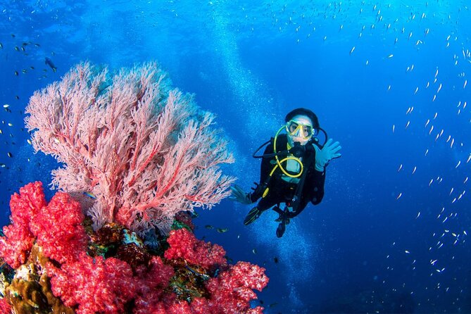 "Premium" Non Certified Beginner Scuba Diving in Racha Yai/Noi - Why the small-group promise matters