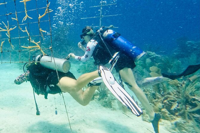 Private 2-Tank Dive with PADI Instructor for Certified Divers - Who will get the most from this outing