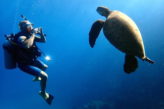 Private and Personalized Scuba Diving Adventures for All Experience Levels - Olowalu Beach: a gentle place to get comfortable