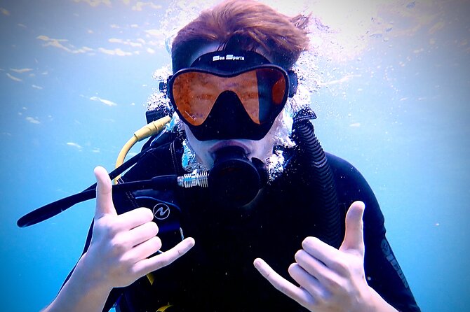 Private and Personalized Scuba Diving Adventures for All Experience Levels - What beginners should expect underwater