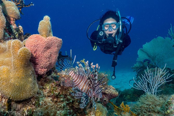 Private Bayahibe 3 Tank Diving with Lunch from Punta Cana - Why Bayahibe is worth the early start