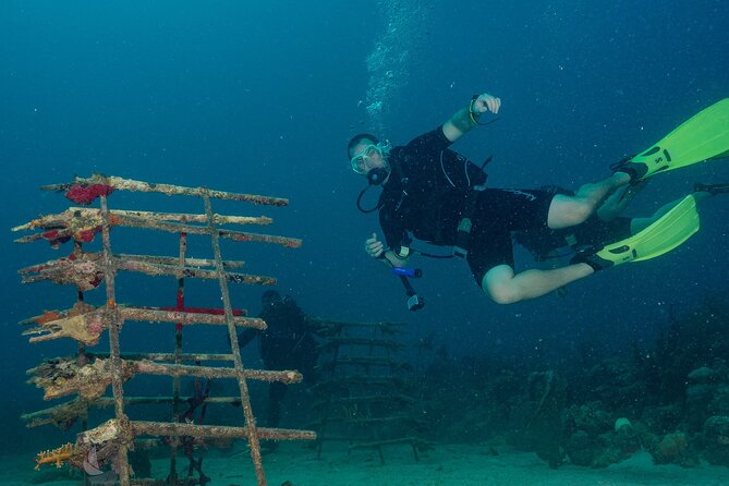 Private Bayahibe 3 Tank Diving with Lunch from Punta Cana - Choosing the first two sites