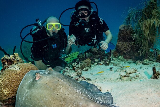 Private Bayahibe 3 Tank Diving with Lunch from Punta Cana - Safety, health, and small details that matter