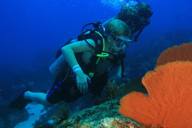 Private Beginner Scuba Diving Experience in Cabo San Lucas - How Long Two and a Half Hours Really Feels
