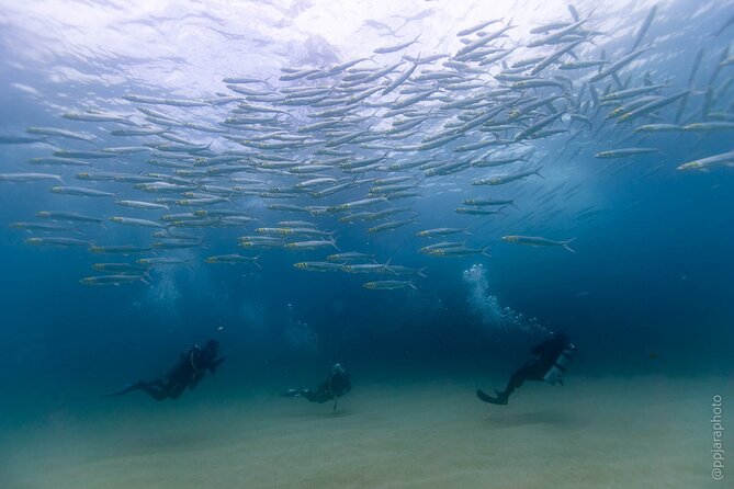 Private Beginner Scuba Diving Experience in Cabo San Lucas - El Arco and the Underwater Setting