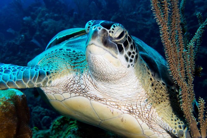 Private Discover Scuba Diving - Why a private class changes the experience