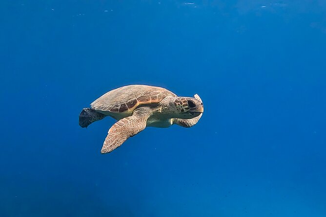 Private Discover Scuba Diving Experience in Messinia - What happens during the two and a half hours