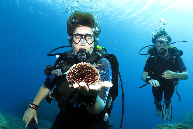 Private Discover Scuba Diving for Beginners in Athens with Pickup - Why the small group matters