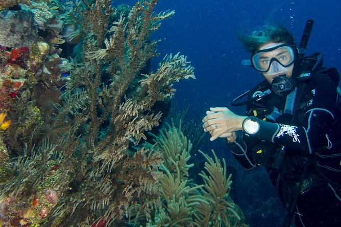 Private Discover Scuba Diving - Following the instructor to the reef