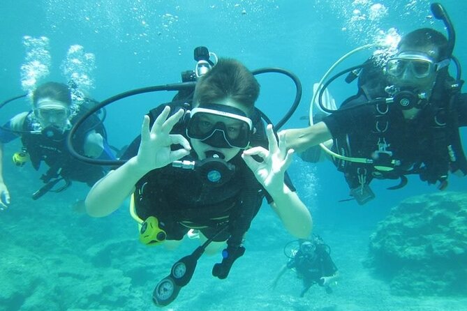 Private Discovery Dive + Photos & Videos - Who will get the most from this experience