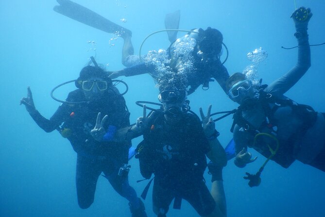 Private Discovery Scuba Diving with Sea Turtles - Learning the Basics Before Going Farther