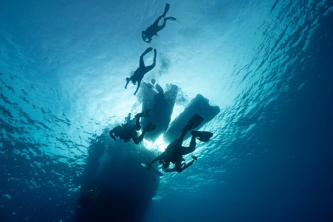 Private Discovery Scuba Diving with Sea Turtles - Who Will Get the Most From This Activity