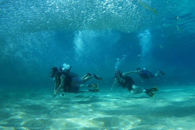 Private Dive Boat for Certified Divers - Cabo San Lucas - A private morning or afternoon on Cabo’s water