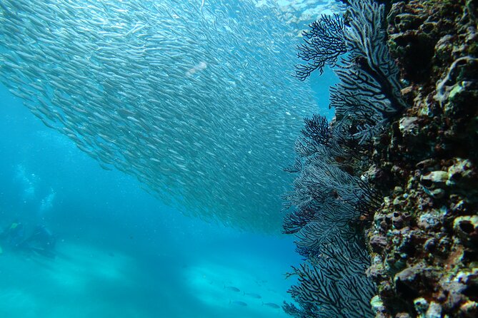 Private Dive Boat for Certified Divers - Cabo San Lucas - Surface interval beneath the Arch of Cabo San Lucas