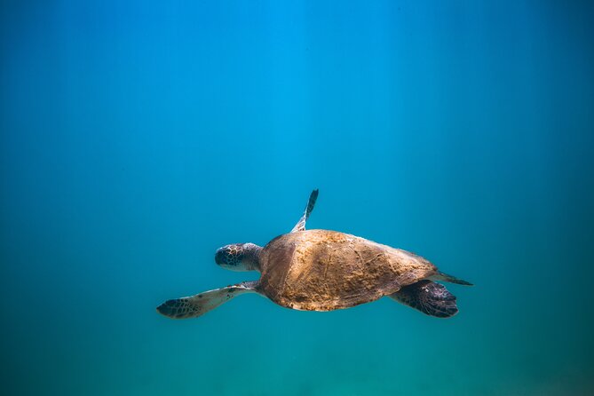 Private Dive Boat for Certified Divers - Cabo San Lucas - Photos to remember the outing