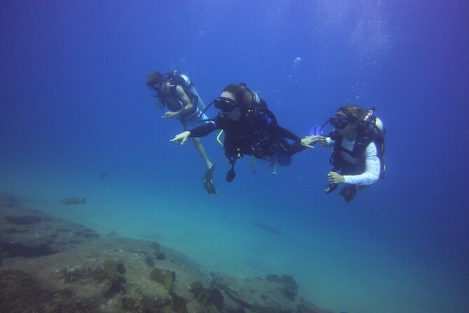 Private Dive Boat for Certified Divers - Cabo San Lucas - Getting ready at Plaza Nautica