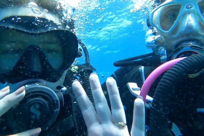 Private Dive Discovery for Beginners from a Boat - Key points at a glance