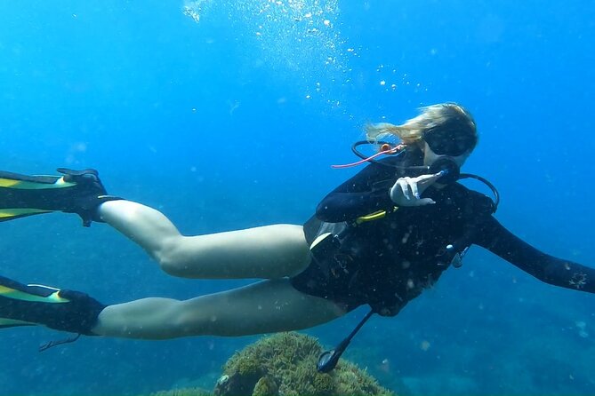 Private Dive Discovery for Beginners from a Boat - A calm first step into scuba in Tenerife