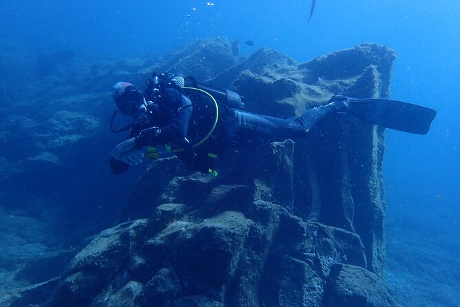 Private Dive Discovery for Beginners from a Boat - Why the private format is worth considering