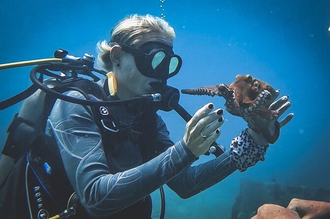 Private Dive + videographer/Photographer (Certified divers only) - What the $120 price includes