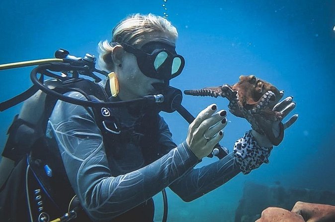 Private Dive + videographer/Photographer (Certified divers only) - Who will enjoy this most