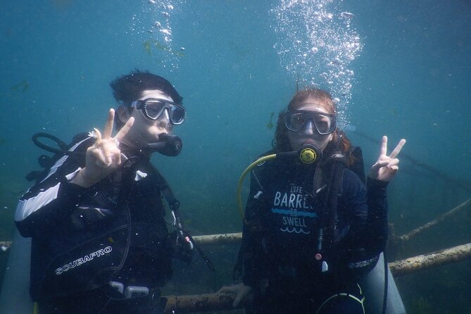 Private Diving Experience in Nusa Dua with Hotel Pick Up - A short underwater outing from Nusa Dua